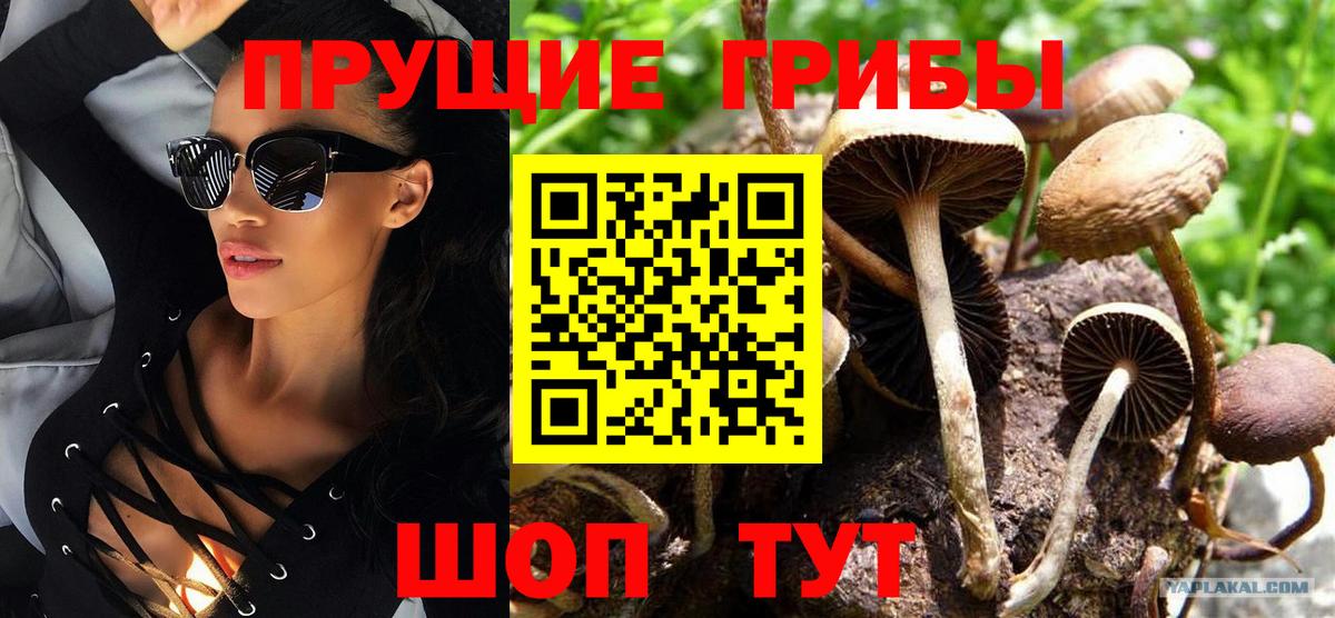 Екатеринбург  Галлюциногенные грибы MAGIC MUSHROOMS  Вход с VPN 